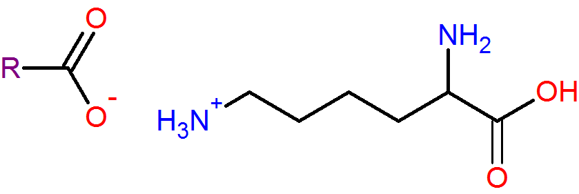 EKKASOFT LC